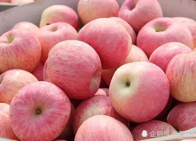 系列水果养生一苹果的功效营养和搭配