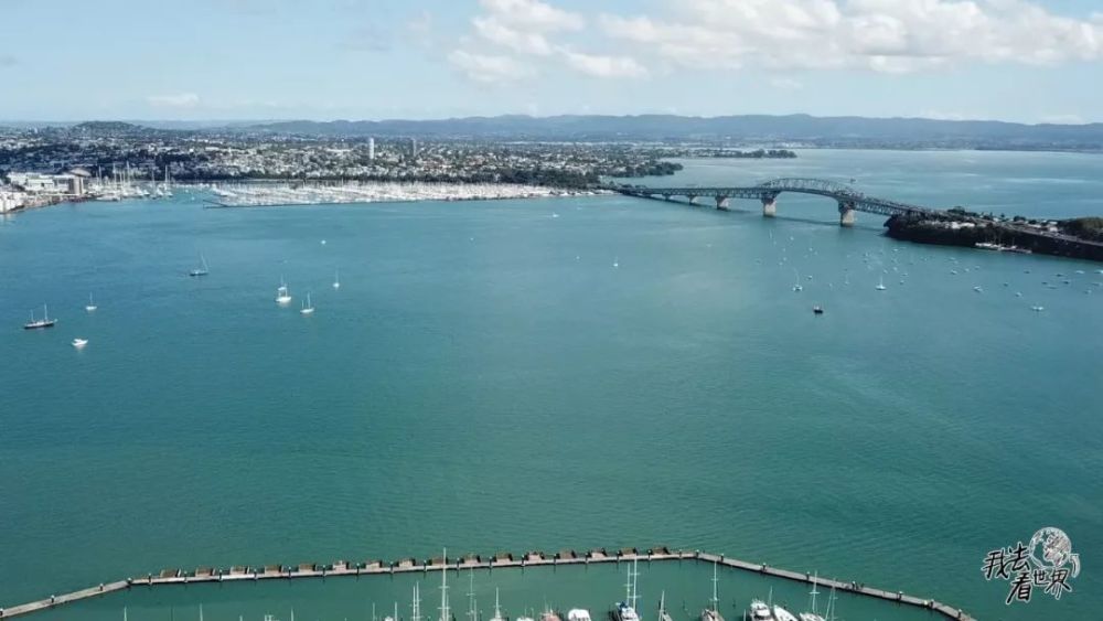 假如在新西兰赚到一百万要交十万的税,把十万