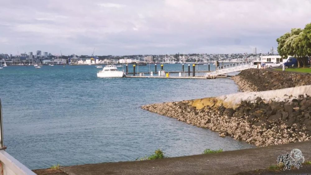 假如在新西兰赚到一百万要交十万的税,把十万