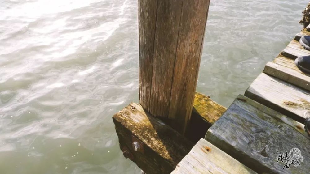 假如在新西兰赚到一百万要交十万的税,把十万