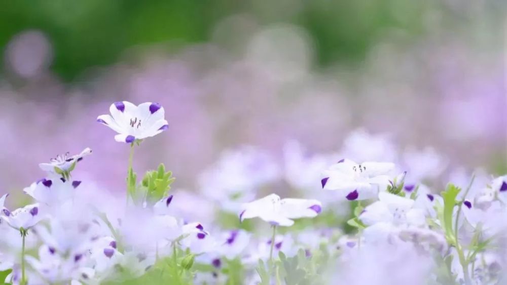 经典微小说:拐弯的阳光