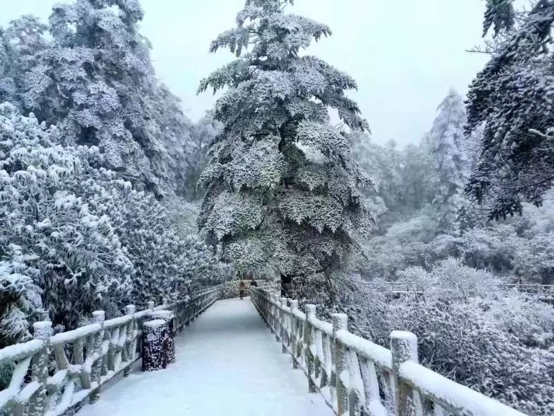 瓦屋山!你下雪的样子,比开了美颜还乖