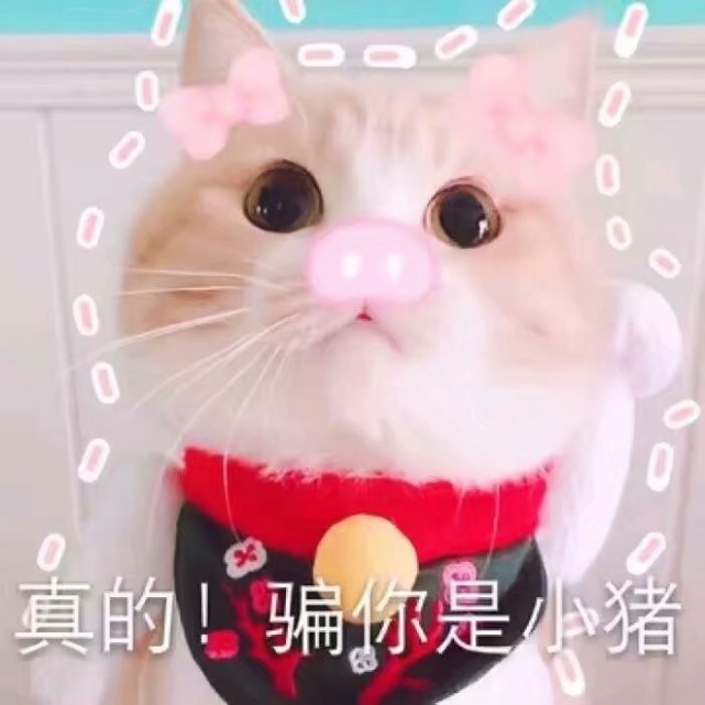 表情包:等我醒了,就来亲你