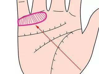 手掌中拥有较多的钱纹纹
