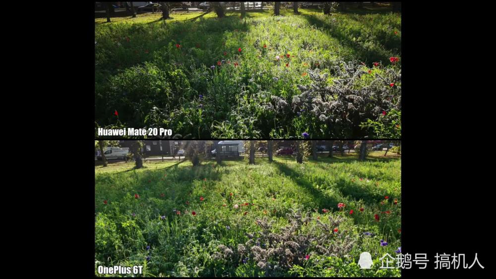 华为Mate20Pro与一加手机6T拍照对决:差距能