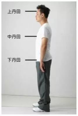 踝放松收到膝,膝放松收到跨,跨左右分而前包,正尾闾,尾椎放松下垂,沿