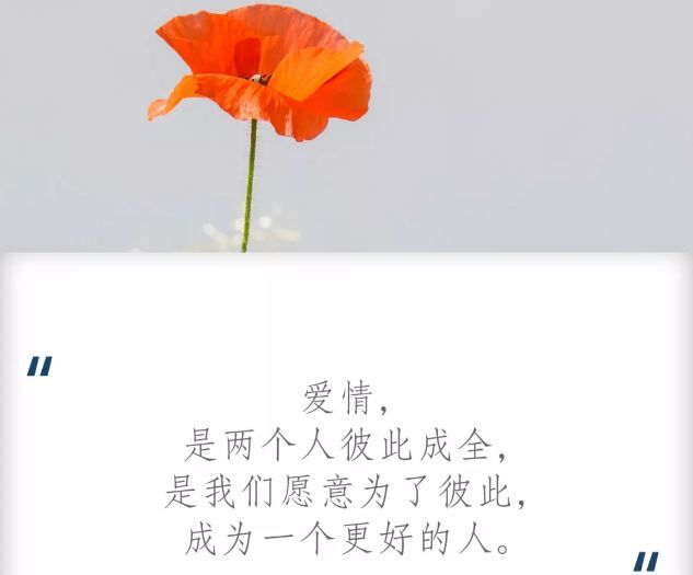 人生金句您值得拥有