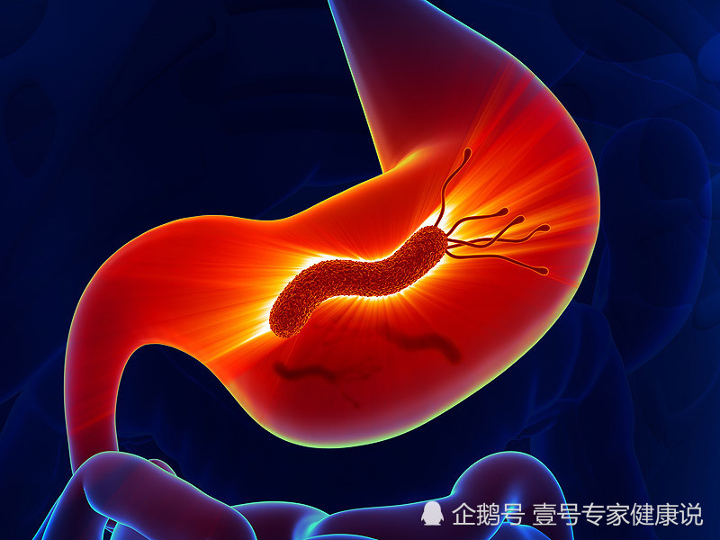 大家好,我的名字叫幽门螺旋杆菌,咱们处个朋友