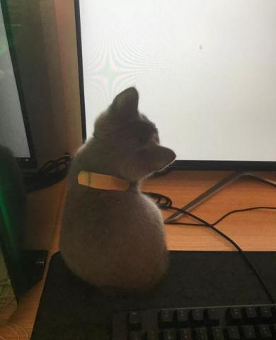 640