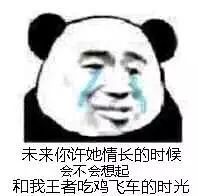 未来你许她情长的时候,会不会想起和我王者吃鸡飞车的时光(流泪熊猫