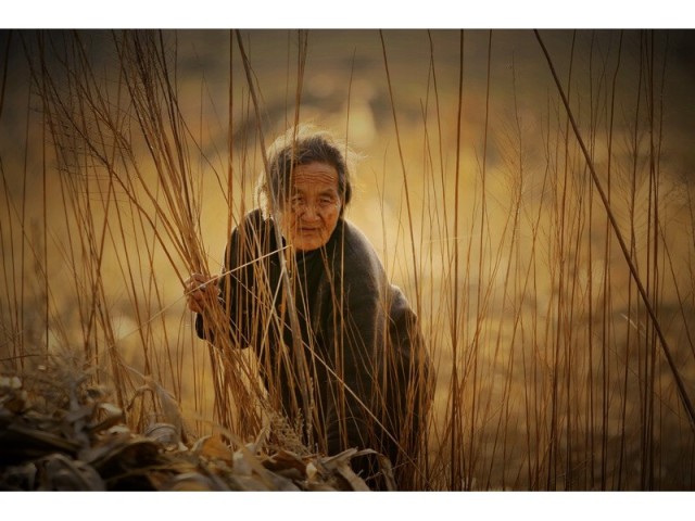 2015夏回乡记-剧烈变迁中,中国农村所面临的现