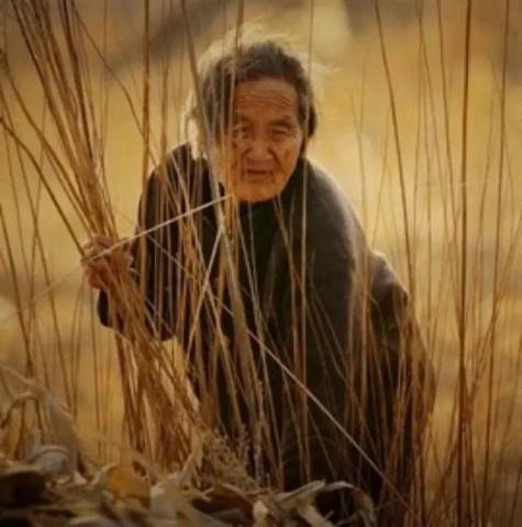 一位调研者亲述:剧烈变迁的中国农村现状(触目