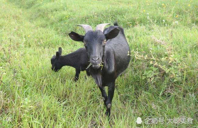 我国第二大岛,资源丰富,美食极多,四大名菜样样