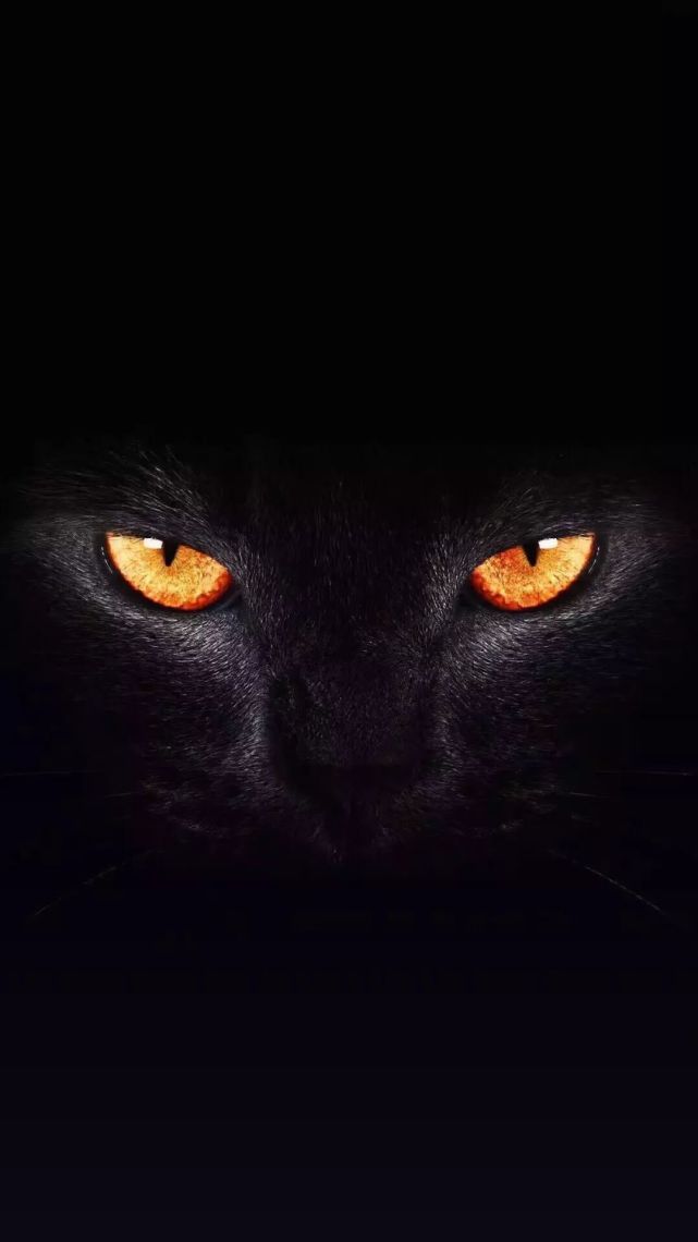 今天刷爆抖音的猫眼写轮眼开灯壁纸,全套给你找齐了