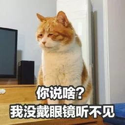 【宠物】宠物搞笑表情包,怂成一团