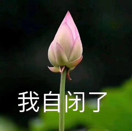 今日沙雕表情包:养生老年人必备"佛系"表情包!荷花得罪谁了!