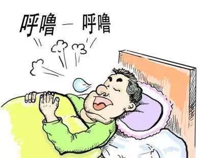 成语鼾什么雷_鼾鼻是什么动物图片(2)