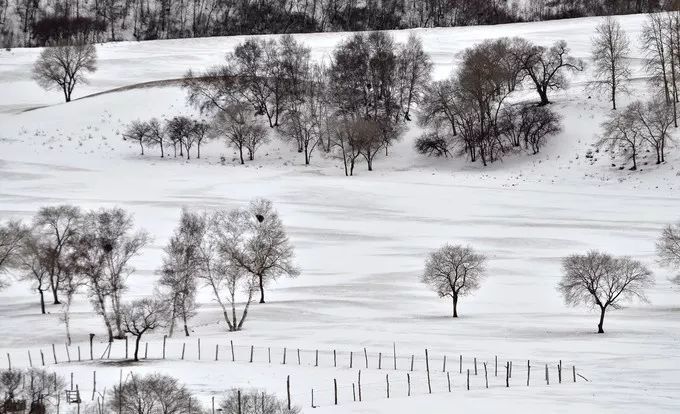 下雪了!美成童话世界的塞外雪景,简直要把摄影师逼疯!