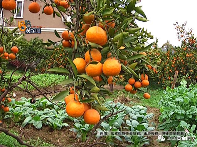 陈师傅"应该是好好的孝顺她,让她安享晚年,68岁,让她尽量享福.