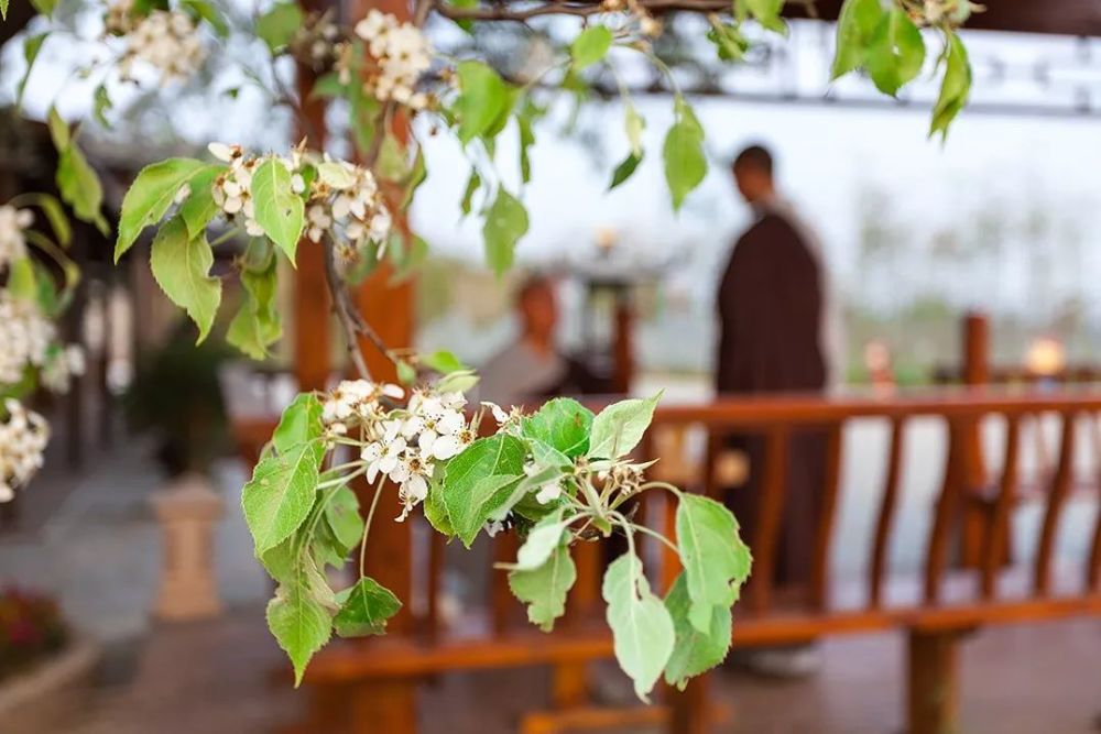 这些耳熟能详的词语都源自佛教!