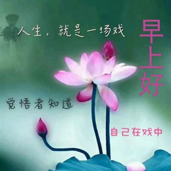 2021暖心的早安祝福动态图片,早安问候祝福表情动态图片