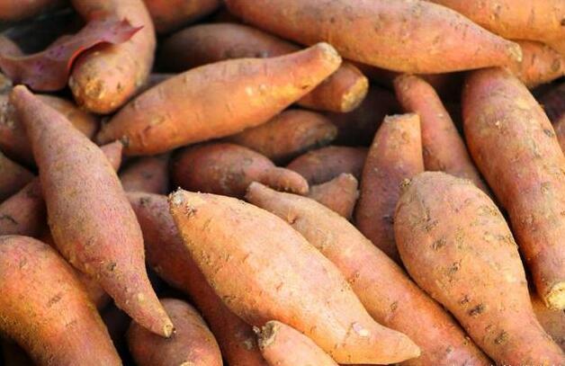 红薯含糖量高,糖尿病可以吃红薯吗?早知早好!