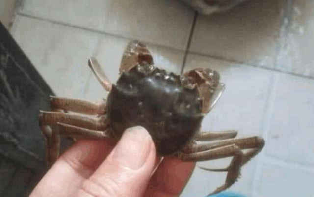 640