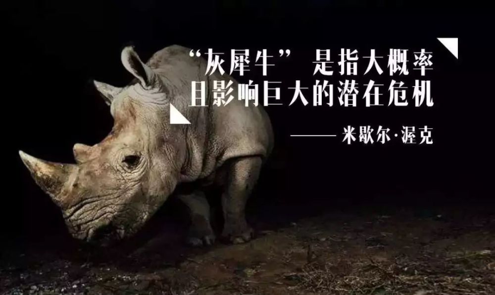 远离那头"灰犀牛"