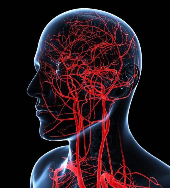 常做三件事,血管难通畅,医生提示:这根血管连通大脑,最易堵