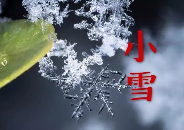 小雪早上好祝福语图片带字 暖心的小雪快乐早安问候