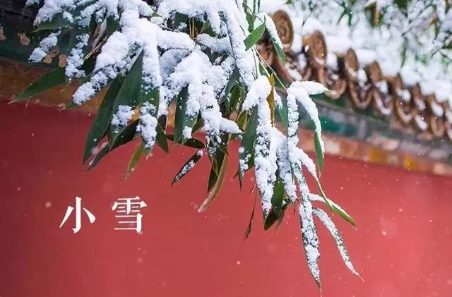 2021最新小雪节气早安祝福动态表情图片大全带字11月22日温馨的小雪