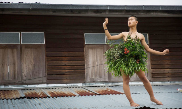 【吐槽】头上长草是什么梗?城会玩震惊美国