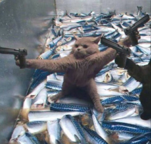 这波