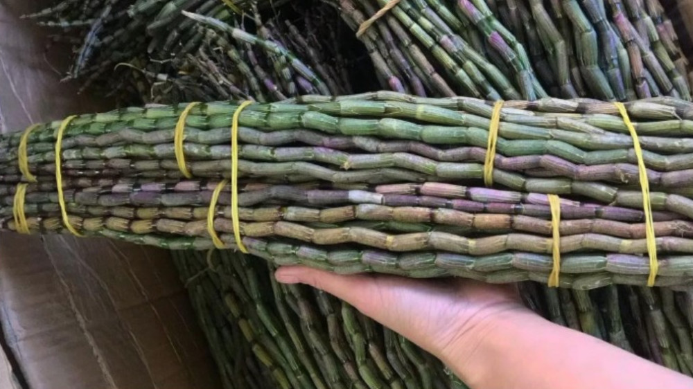 1000