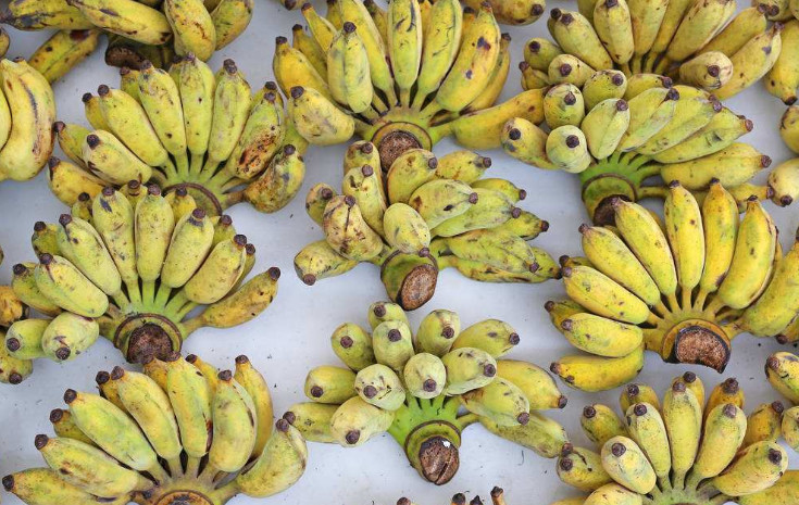 香蕉和此物一起煮,每天吃两口,血糖低了,腰也细