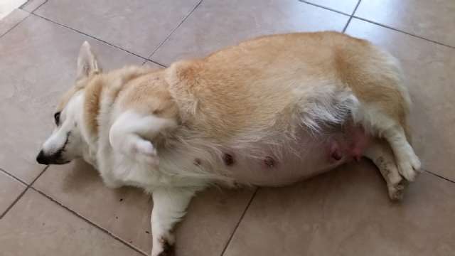 640