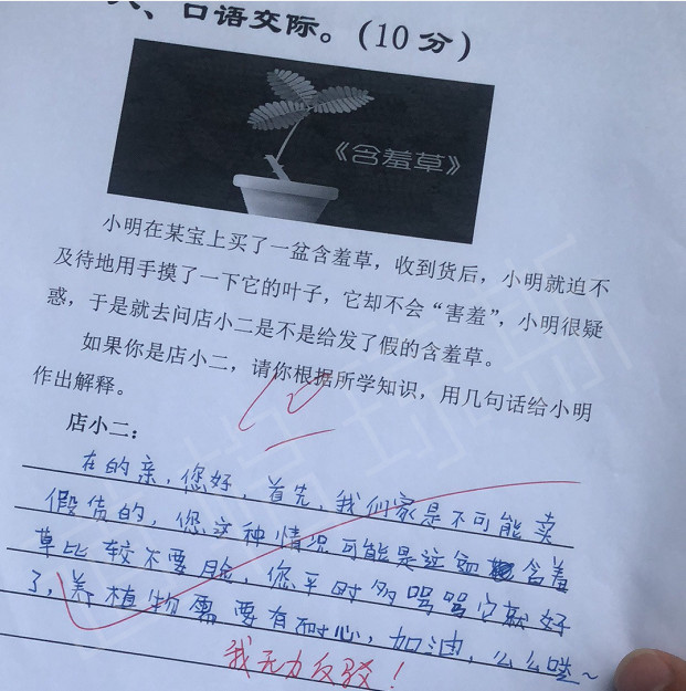 小学生搞笑作文《体育老师保重身体》走红,网