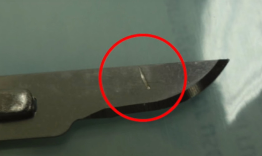 一岁宝宝每次学走路都哭闹,医生一句话,母亲默