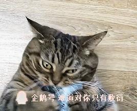 640