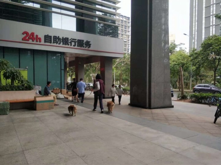 宝安女性人口_深圳宝安机场图片(3)