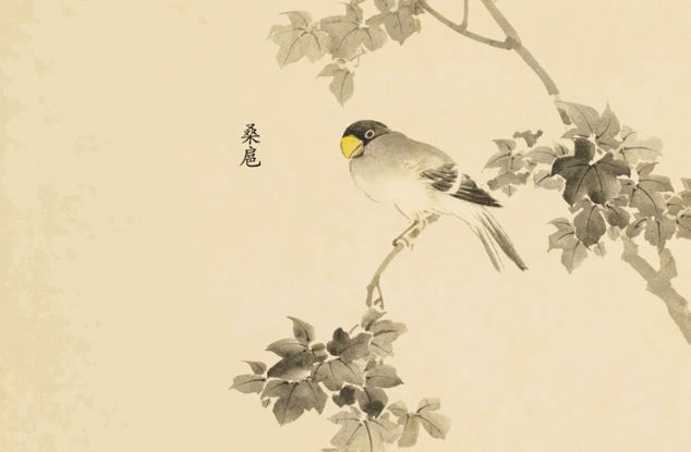 《诗经》里最美的诗句,你动心了吗