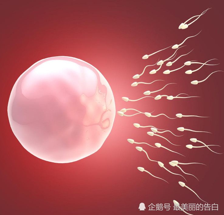 进入女生体内的精子,没有受精的最后都去了哪?网友:我