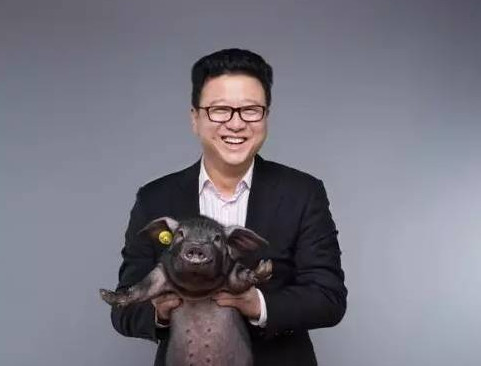 丁磊、马云、刘强东纷纷爱上养猪 什么猪这么