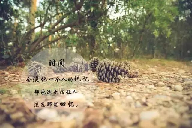 一味索取,不懂付出;一味任性,不知让步;到最后必然输得精光.