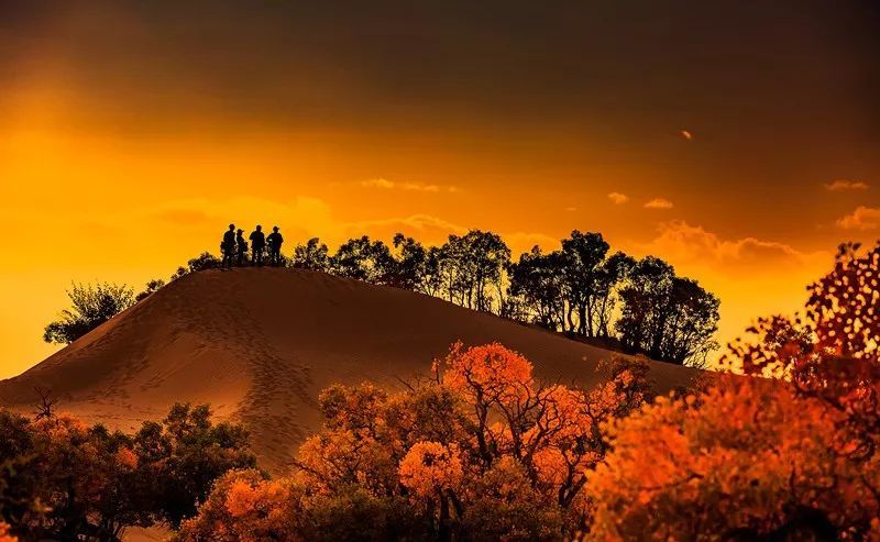 都兰简谱_都兰马头琴(3)