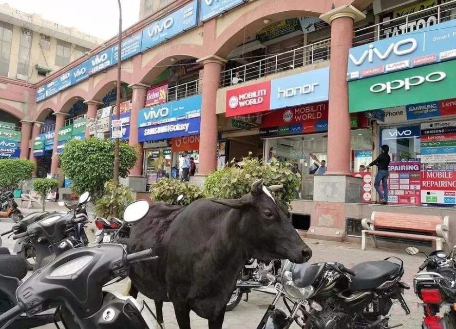 三星和苹果正在衰退,中国手机真正崛起了