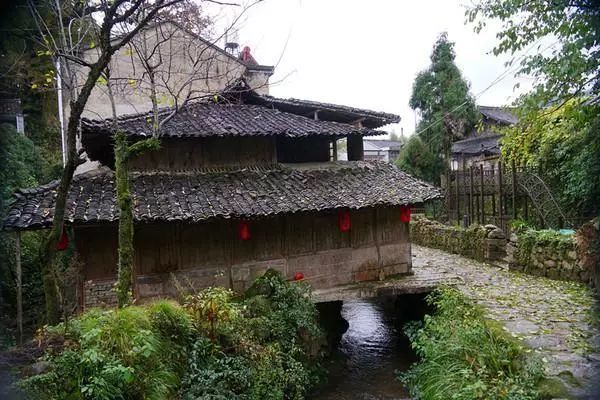 探村台州黄岩半山古村清溪古道梨树石屋静享山居之美