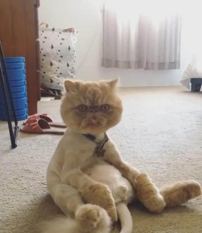 640