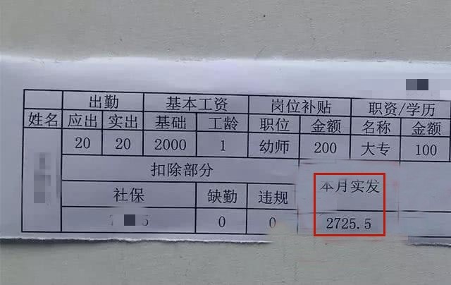 幼儿园老师晒工资条,吐槽难养家太难,网友回了