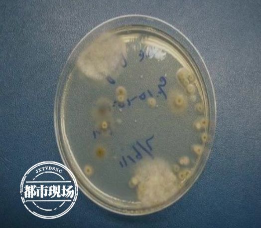 很多江西人爱吃,一查这个竟超标?挺有名气